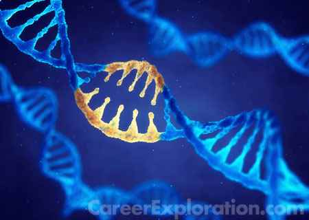 Cell/Cellular and Molecular Biology