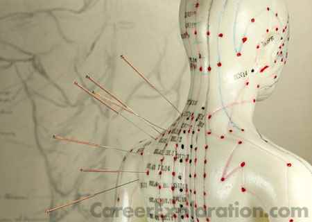 Acupuncture and Oriental Medicine Major
