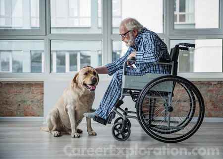 Animal-Assisted Therapy Major