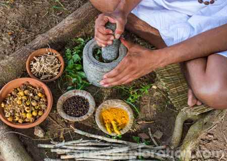 Ayurvedic Medicine/Ayurveda Major