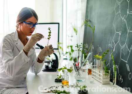 Biochemistry Major