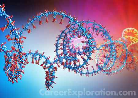 Structural Biology Major