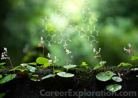 Molecular Biochemistry Major