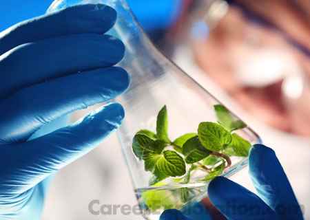 Biotechnology Major