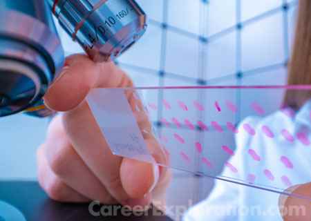 Cell/Cellular Biology and Histology Major