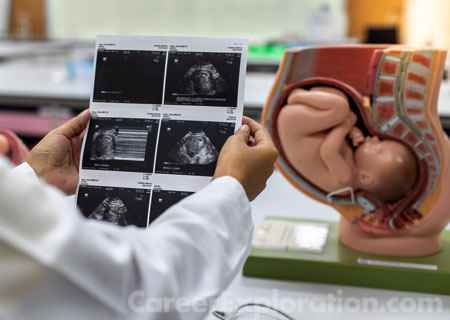 Developmental Biology and Embryology Major