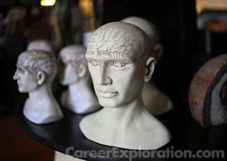 Cognitive Psychology and Psycholinguistics Major