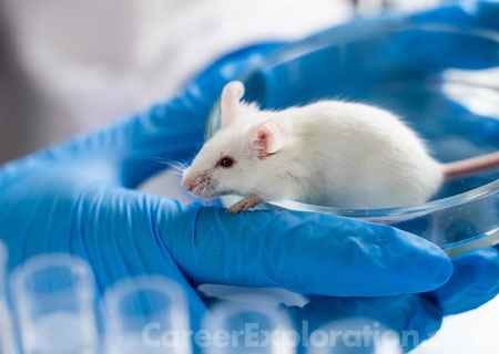 Animal Genetics Major