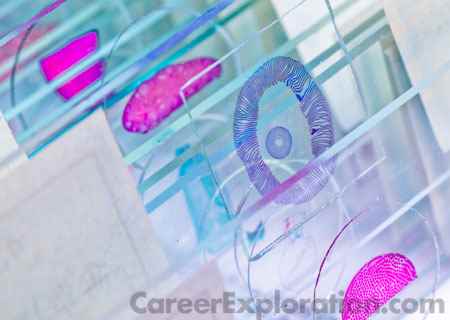 Histologic Technology/Histotechnologist Major