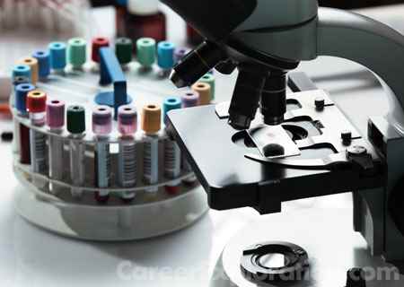 Medical Microbiology and Bacteriology Major