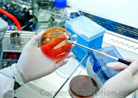 Microbiology, General Major