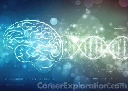 Neurobiology and Anatomy Major