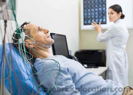 Neurobiology and Behavior Major