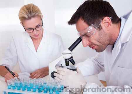 Pathology/Pathologist Assistant Major
